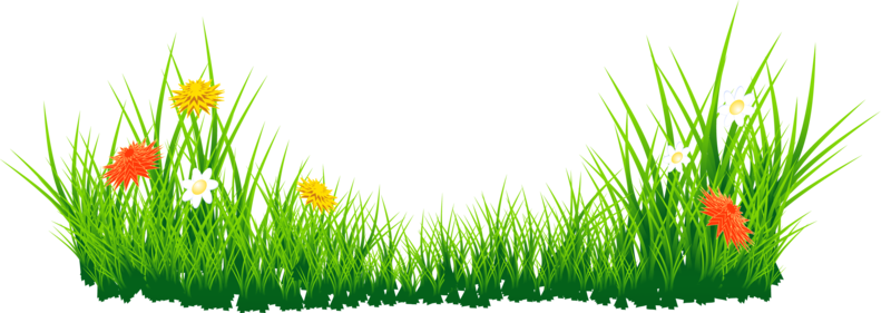 Egg Grass Easter Transparent PNG Image