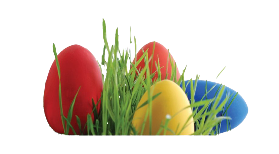 Egg Grass Easter Transparent PNG Image