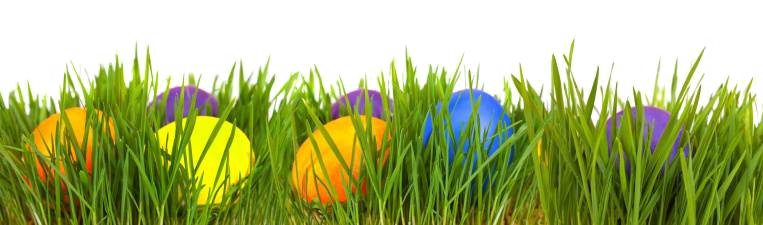 Egg Grass Easter Transparent PNG Image