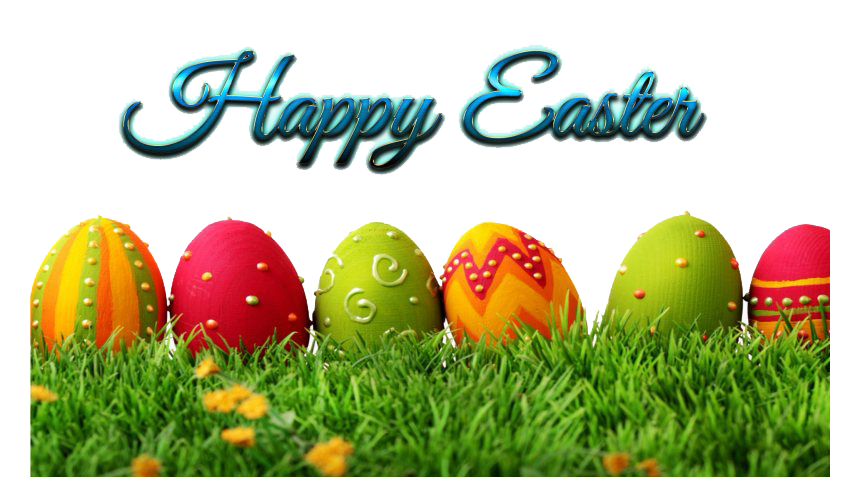 Egg Grass Easter Transparent PNG Image