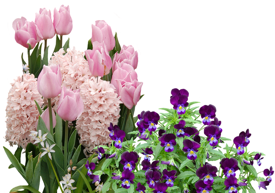 Flower Easter Transparent PNG Image