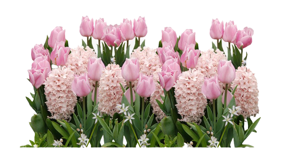 Flower Easter Transparent PNG Image