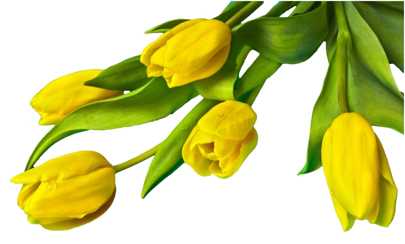 Flower Easter Transparent PNG Image