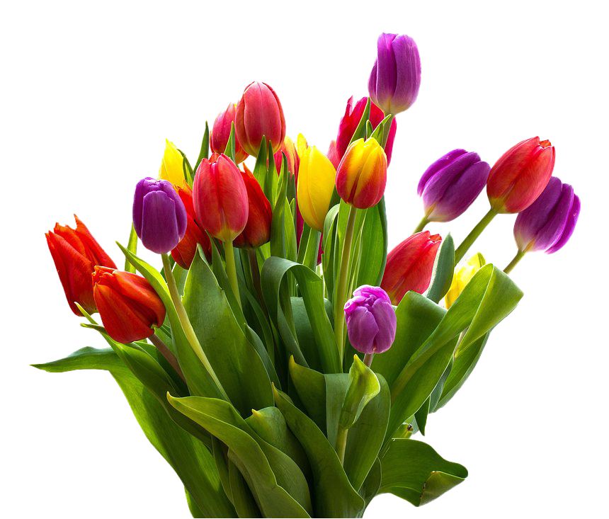 Flower Easter Transparent PNG Image