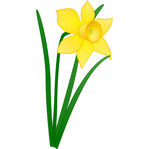 Flower Easter Transparent PNG Image