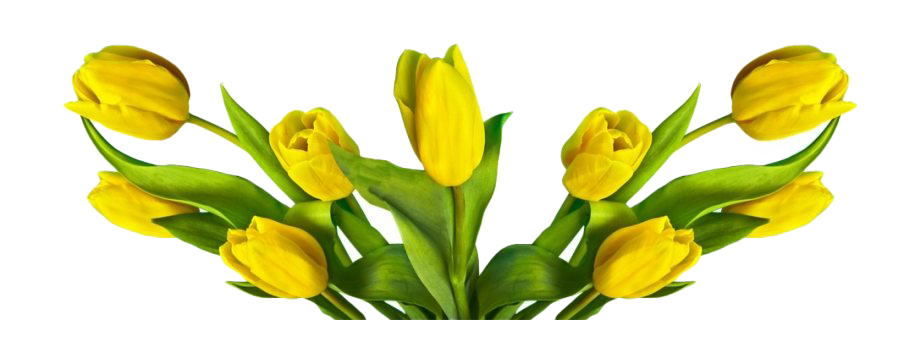 Flower Easter Transparent PNG Image