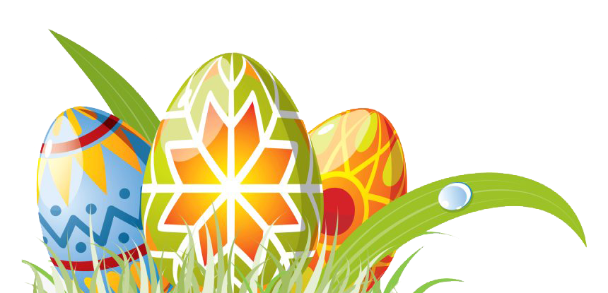 Egg Grass Easter Transparent PNG Image