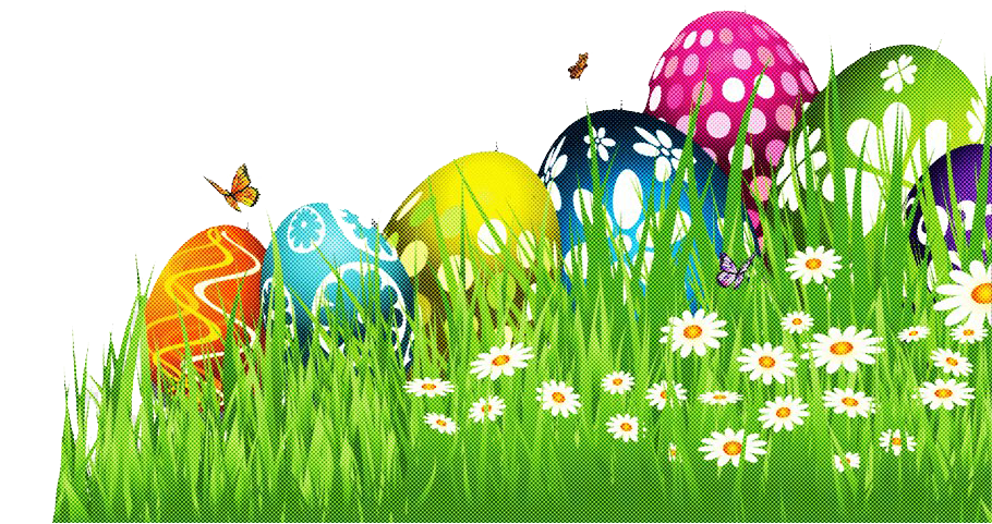Egg Grass Easter Transparent PNG Image