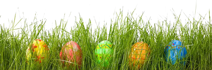 Egg Grass Easter Transparent PNG Image