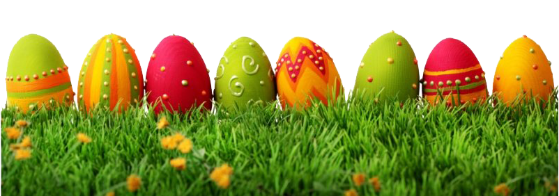 Egg Grass Easter Transparent PNG Image