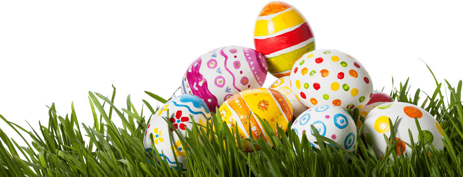 Egg Grass Easter Transparent PNG Image