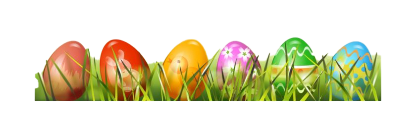 Egg Grass Easter Transparent PNG Image