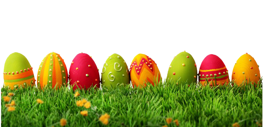Egg Grass Easter Transparent PNG Image