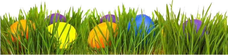 Egg Grass Easter Transparent PNG Image