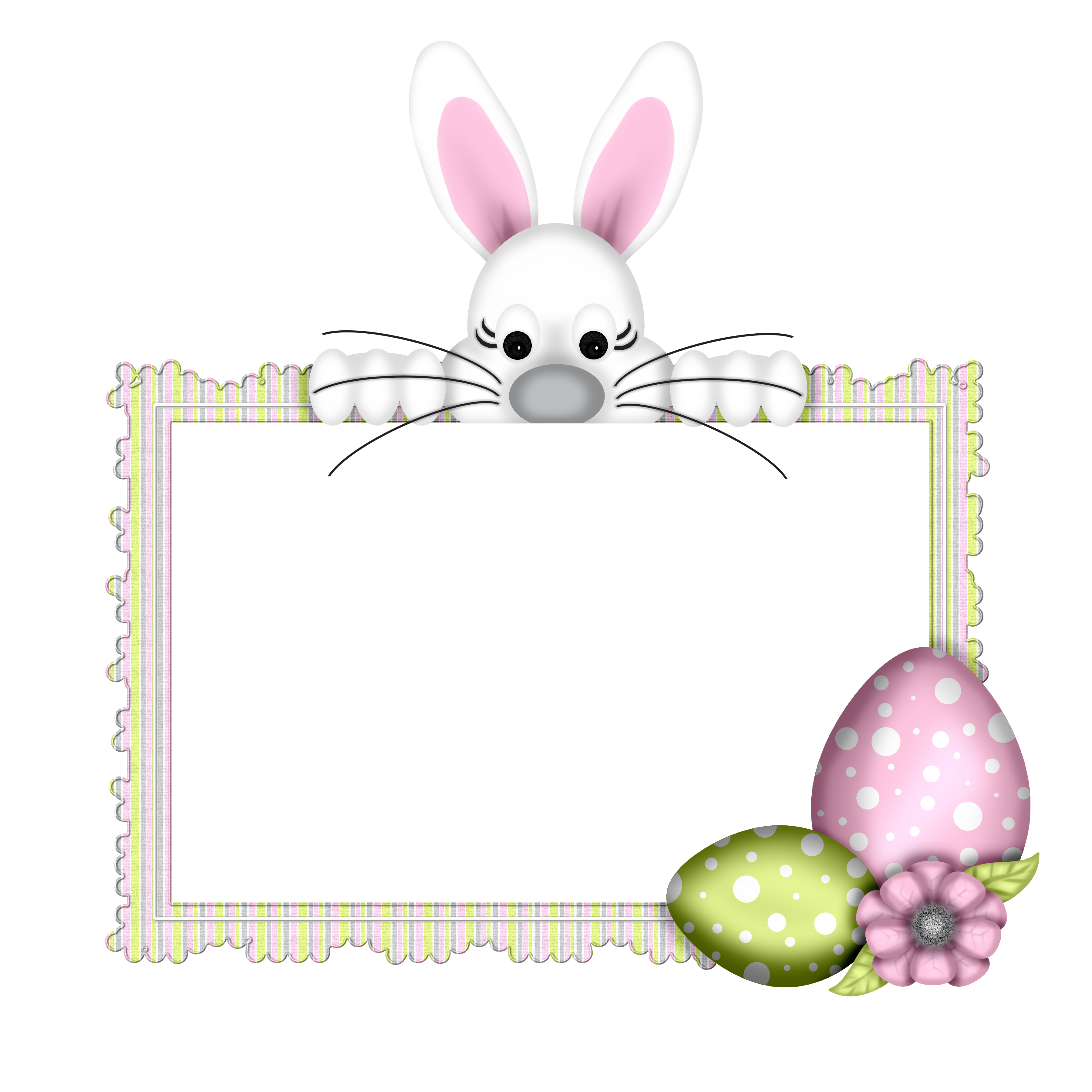 Bunnies Hare Easter graphy Egg Bunny Transparent PNG Image