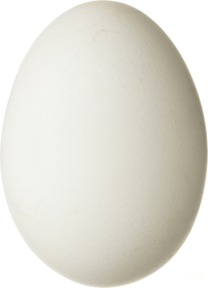 Egg Transparent PNG Image