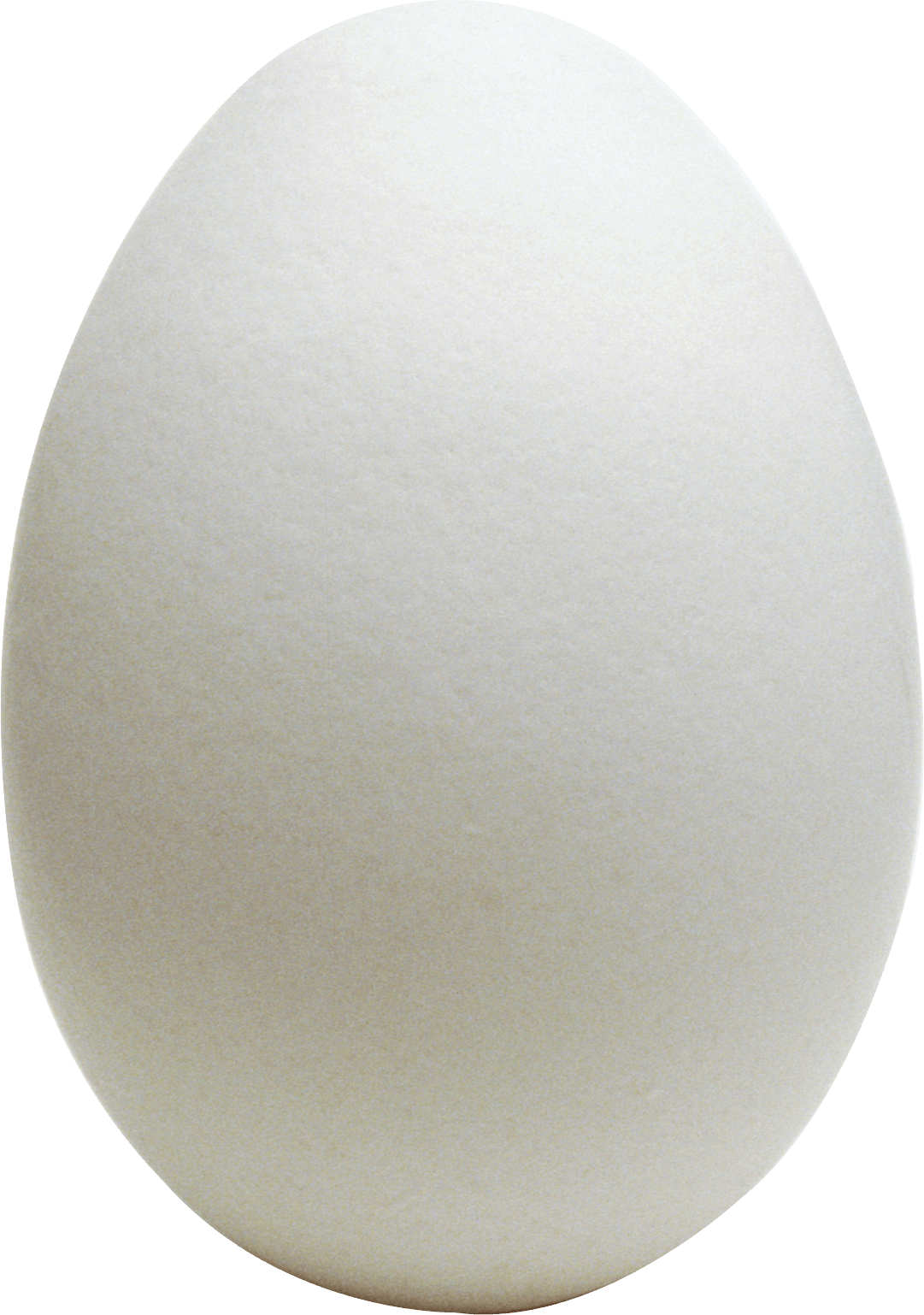 Egg Transparent PNG Image