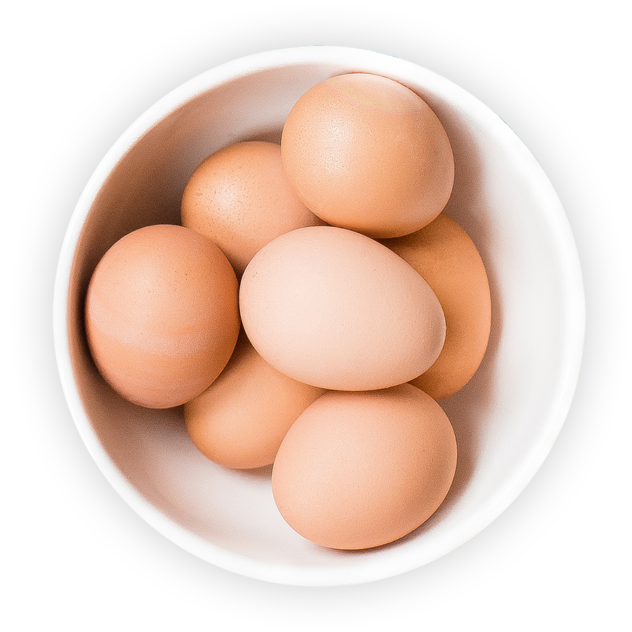 Bowl Egg Transparent PNG Image