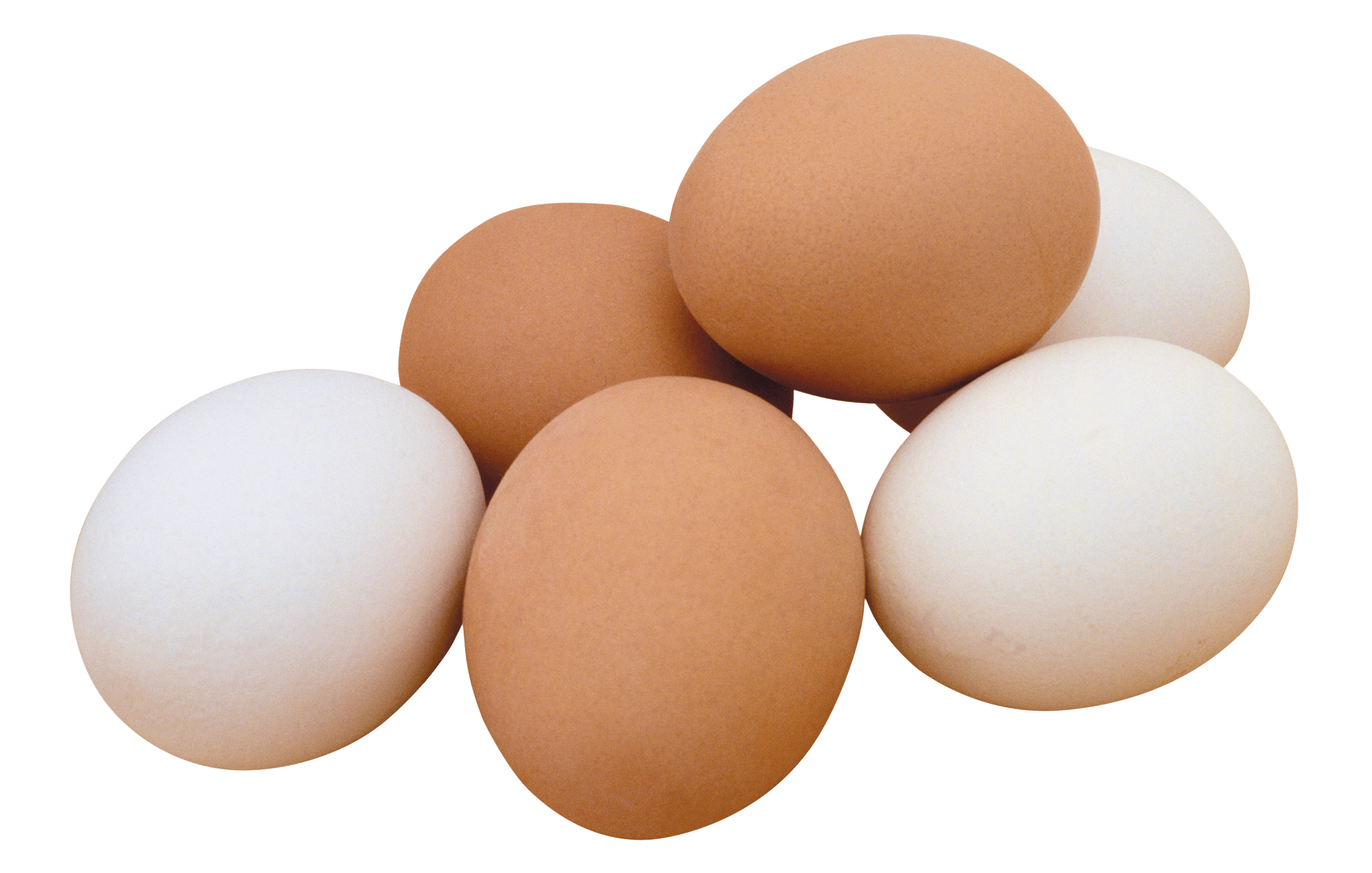 Egg Transparent PNG Image