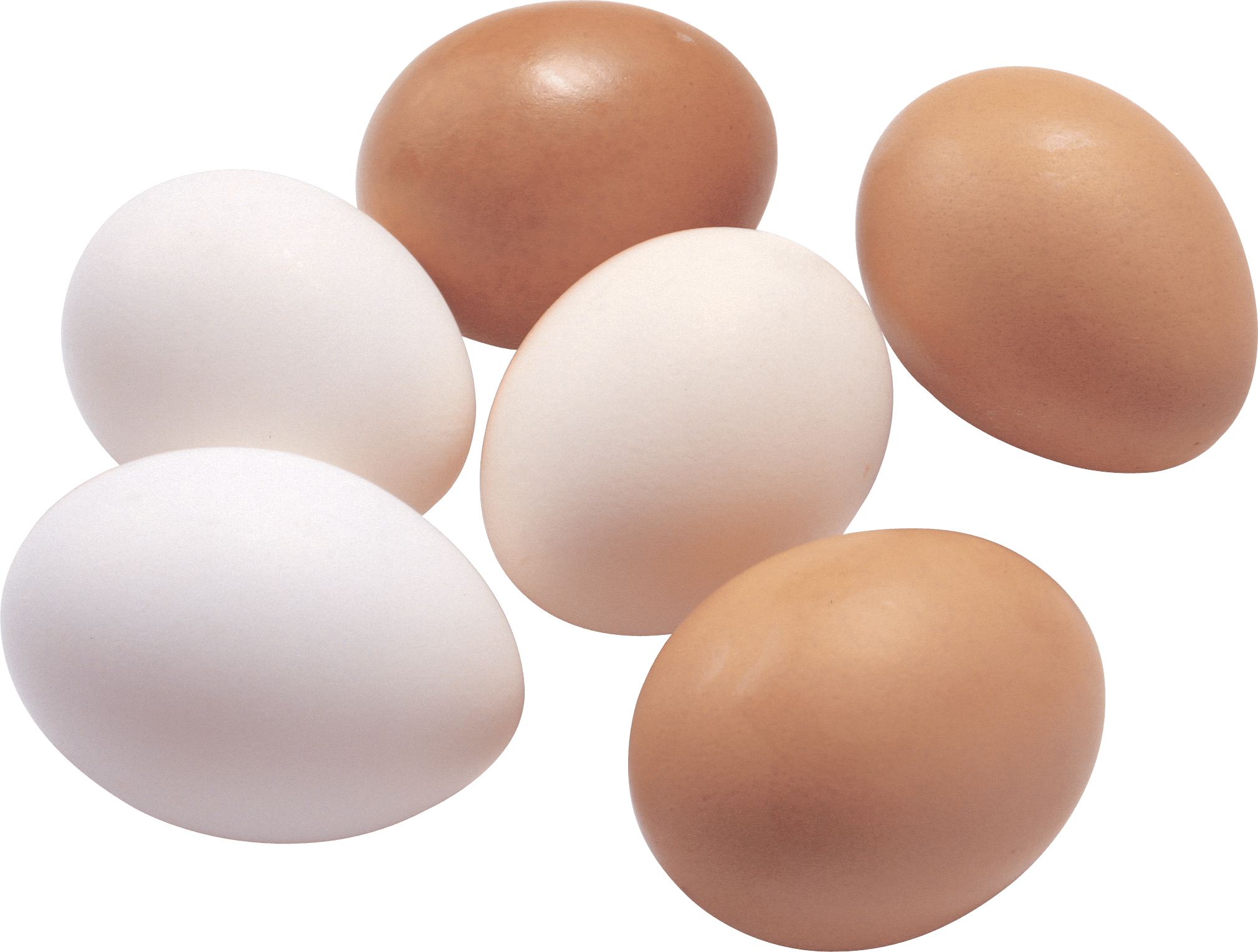 Egg Transparent PNG Image