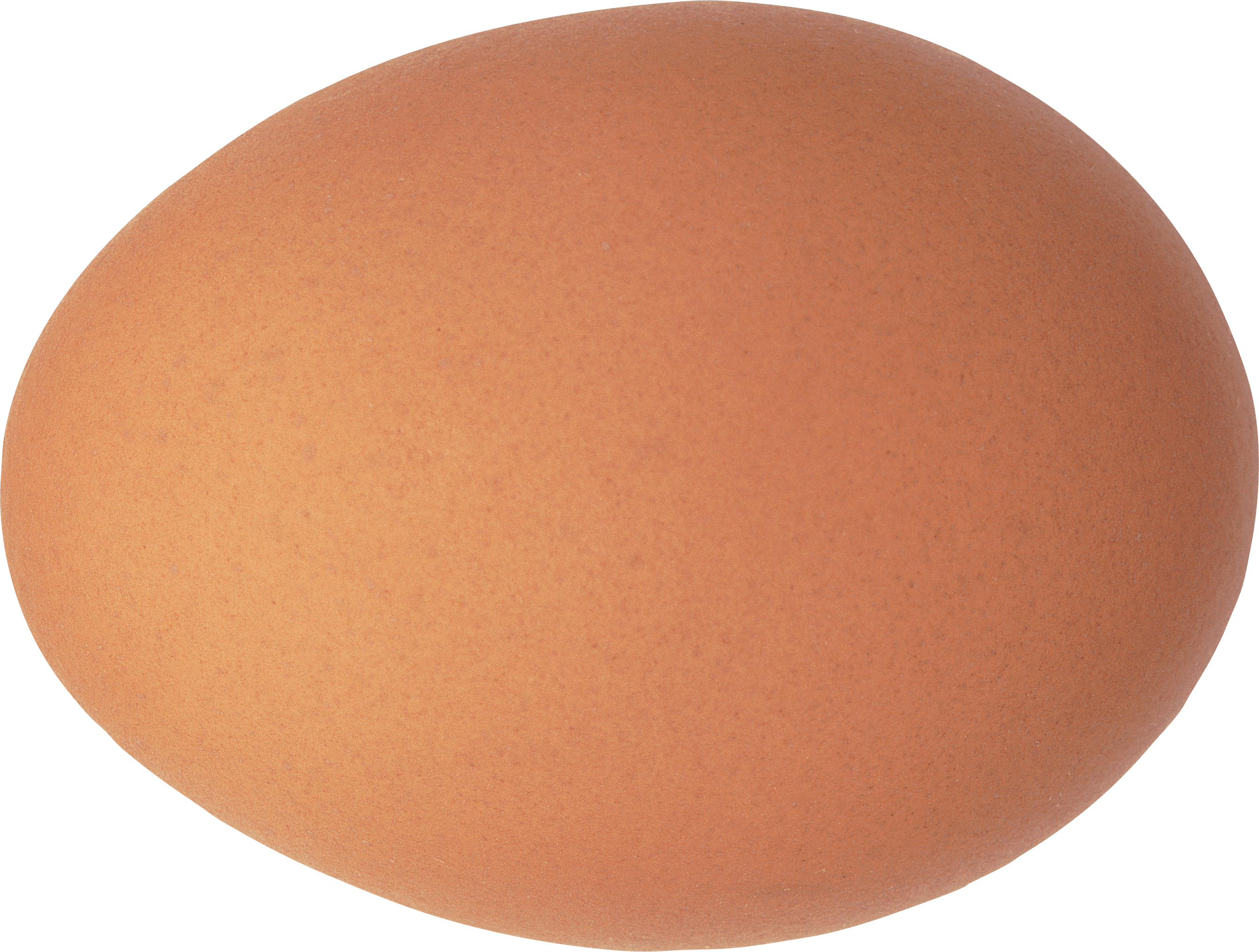 Egg Transparent PNG Image