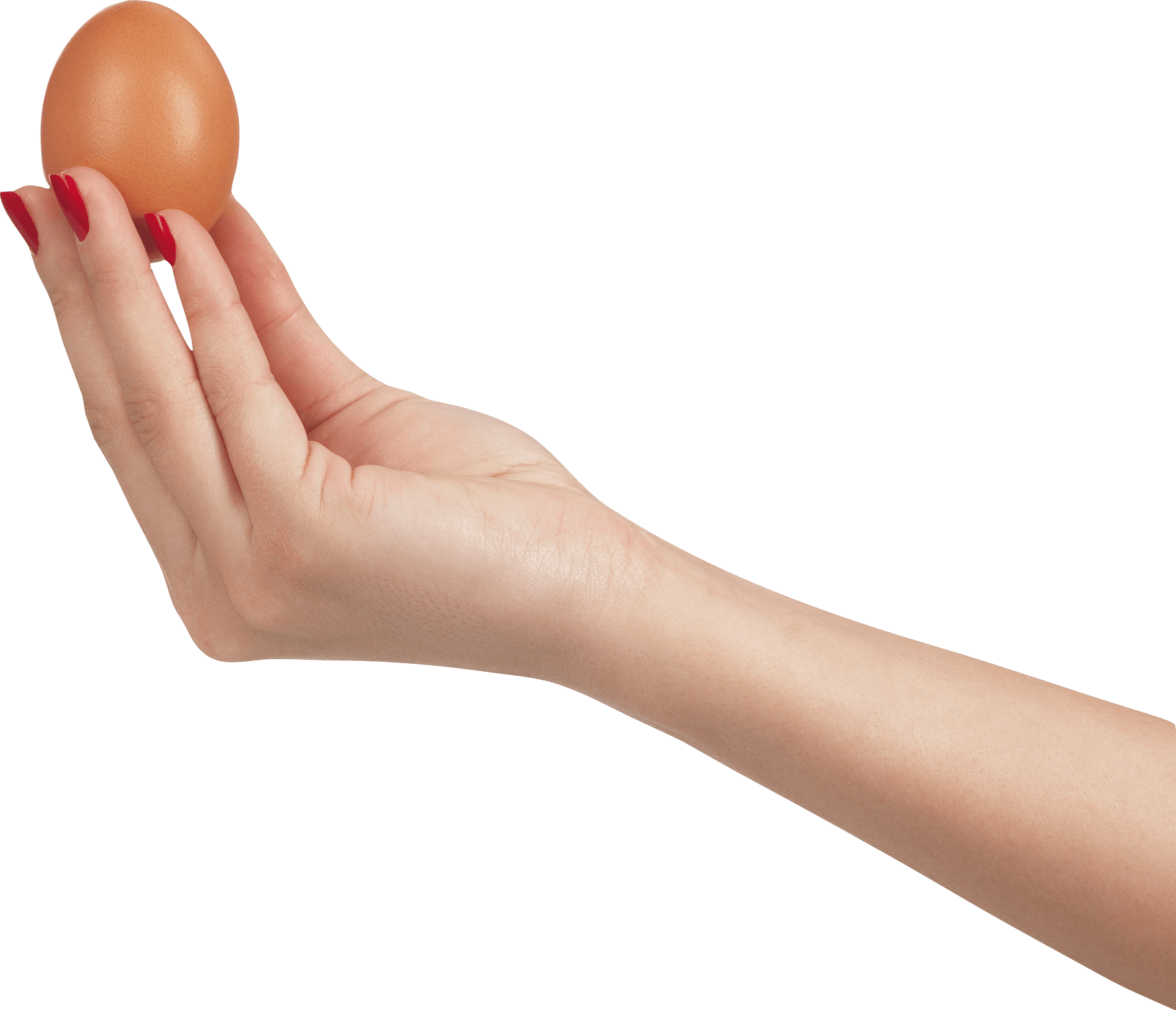 Egg In Hand Transparent PNG Image