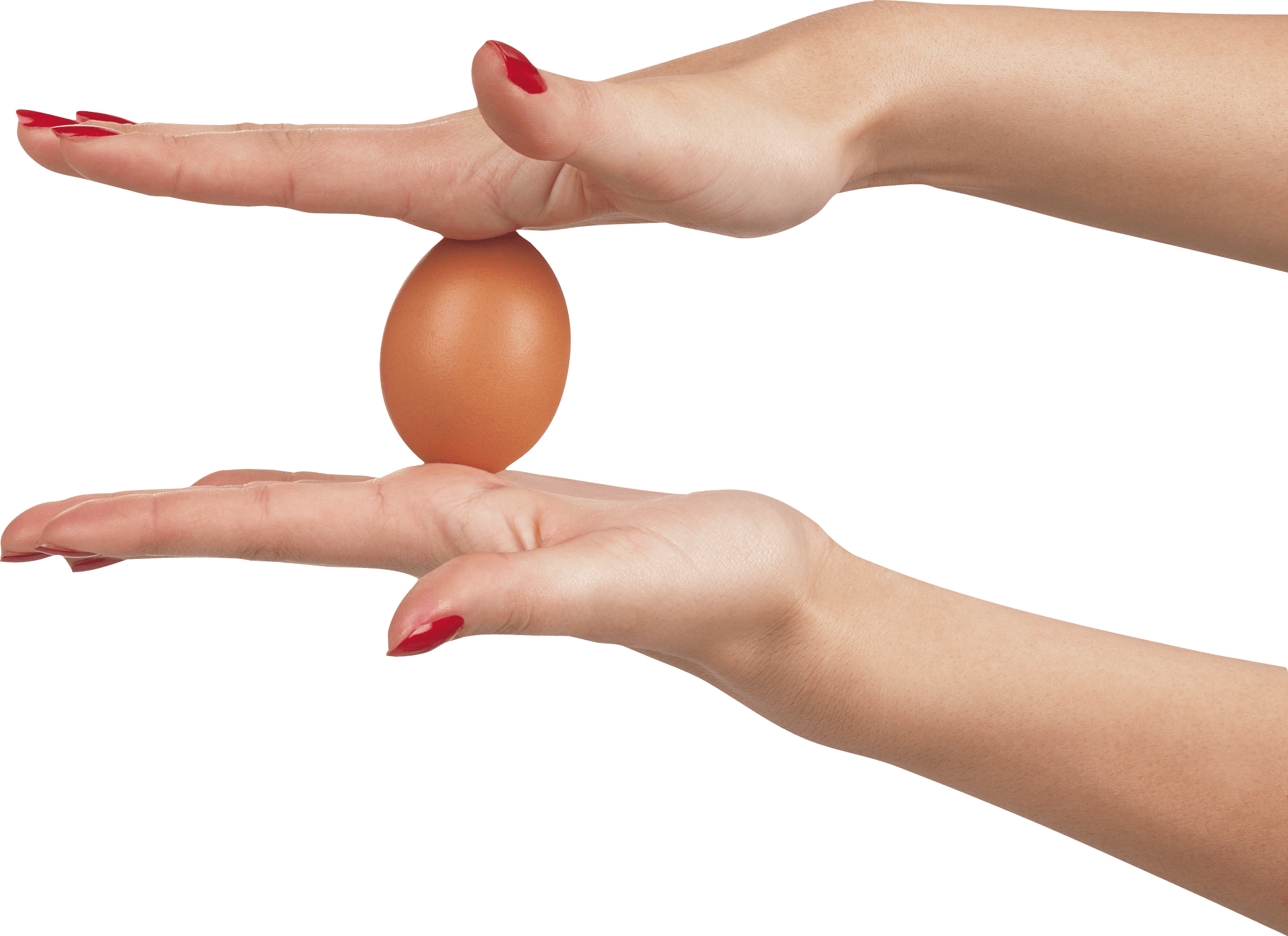 Egg In Hands Transparent PNG Image