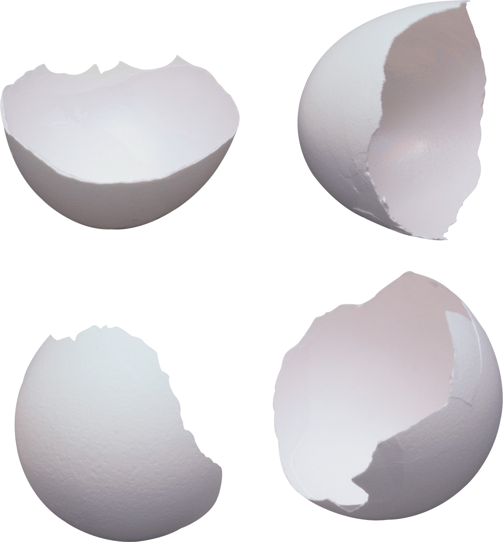 Cracked Egg Transparent PNG Image