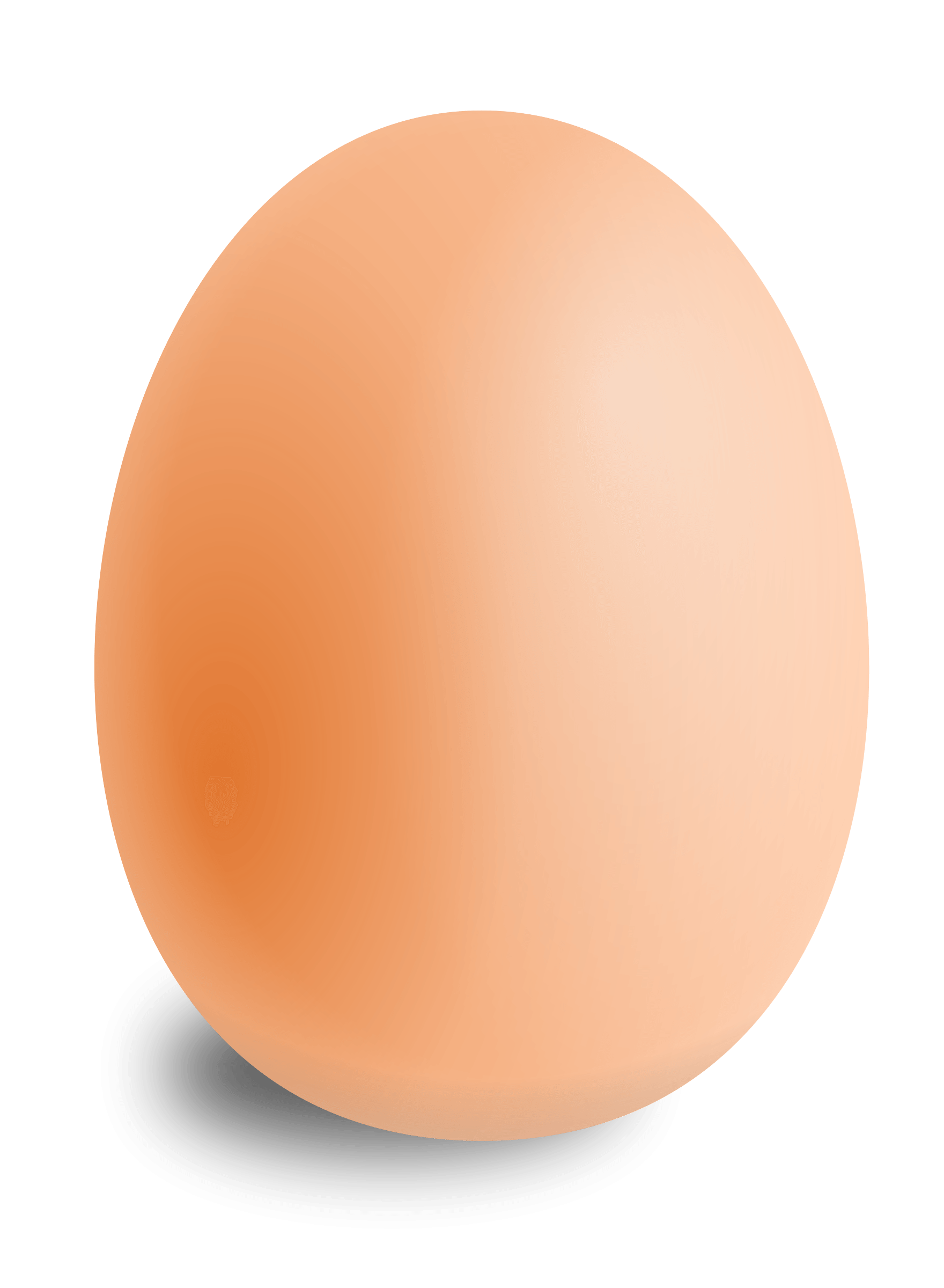 Egg Transparent PNG Image
