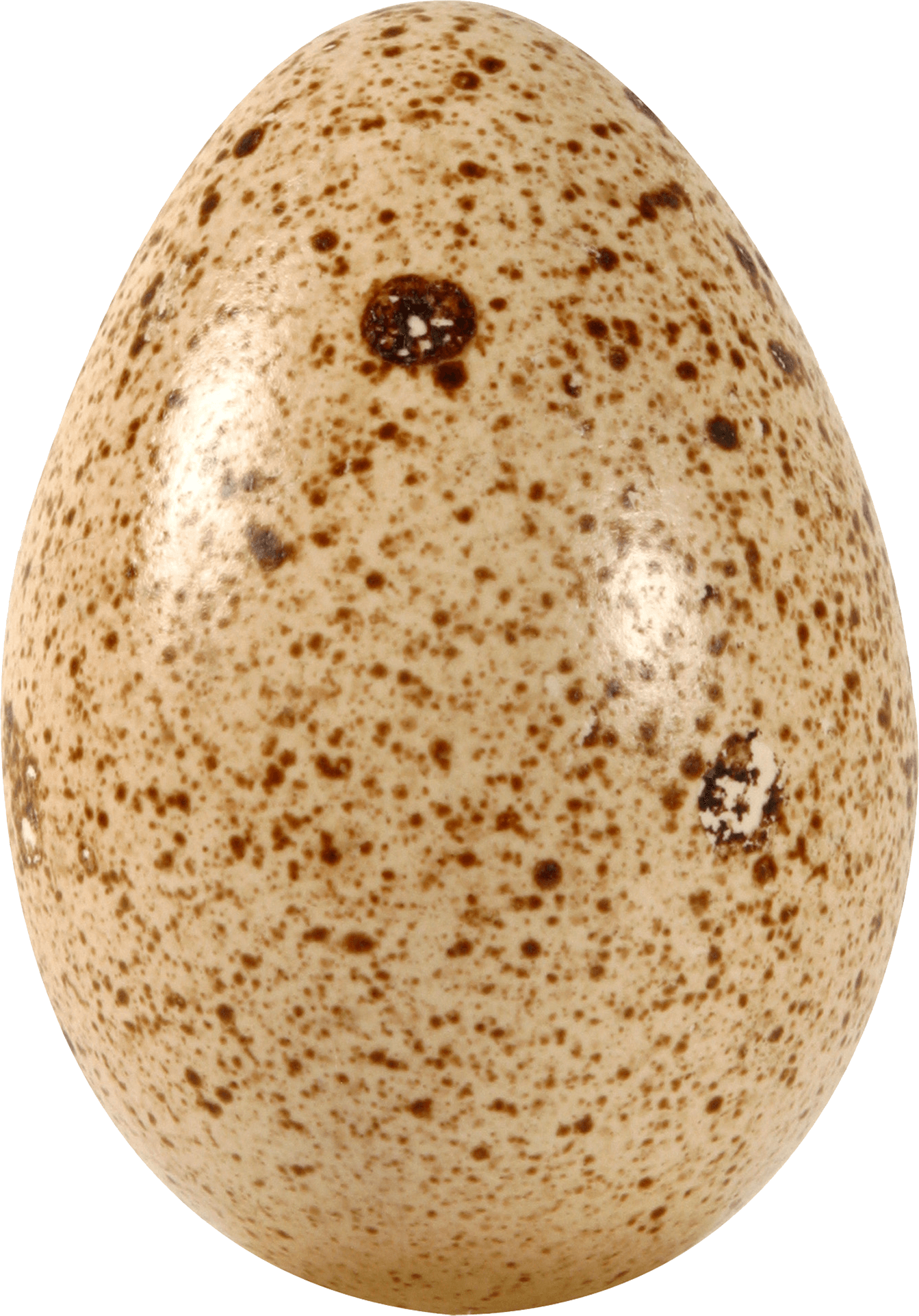 Egg Transparent PNG Image