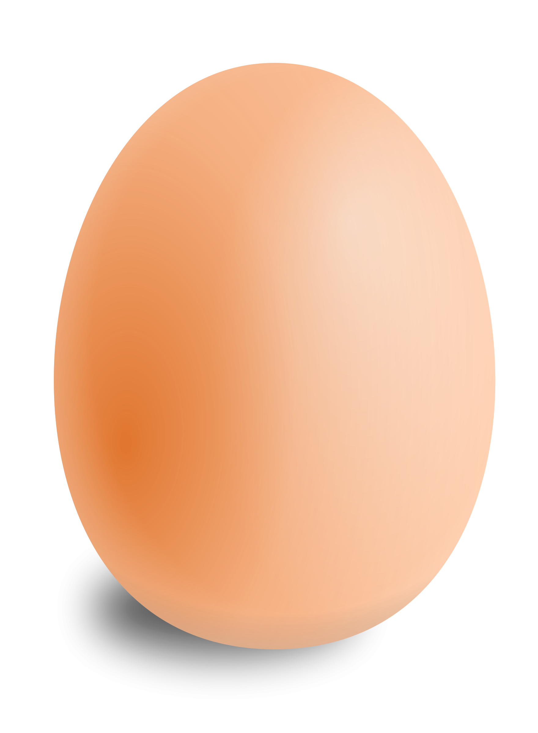 Egg Transparent PNG Image
