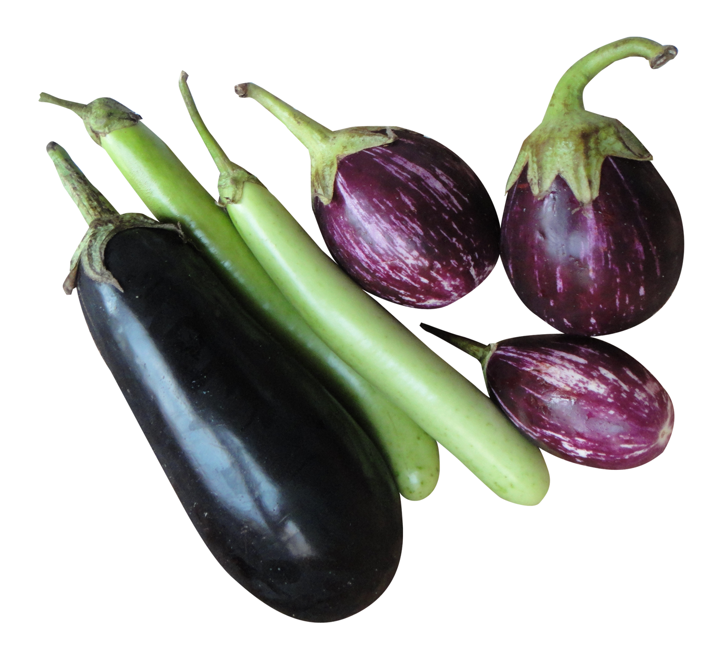 Brinjal Eggplant Transparent PNG Image