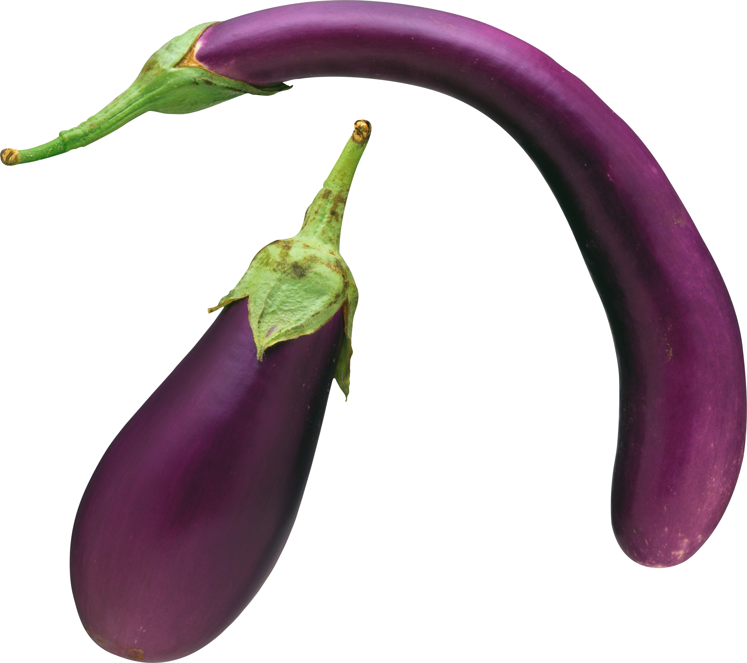 Brinjal Eggplant Transparent PNG Image