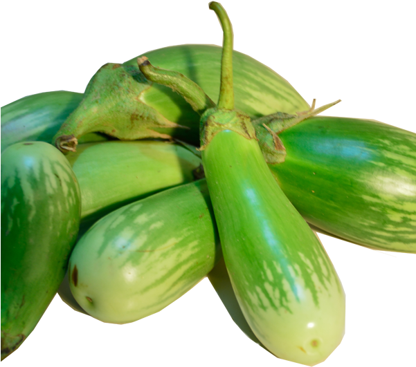 Green Brinjal Transparent PNG Image
