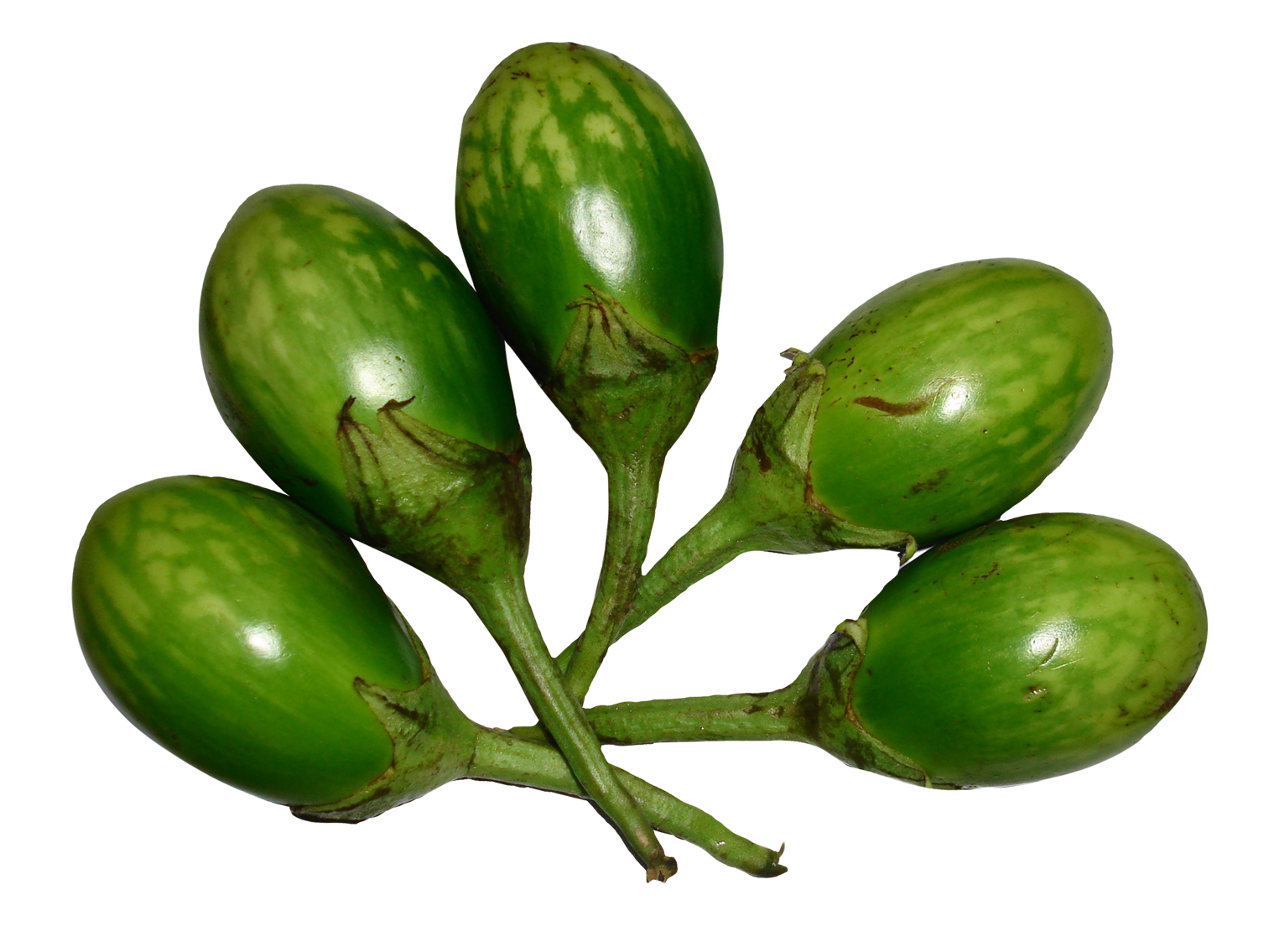 Brinjal Eggplant Bunch Transparent PNG Image