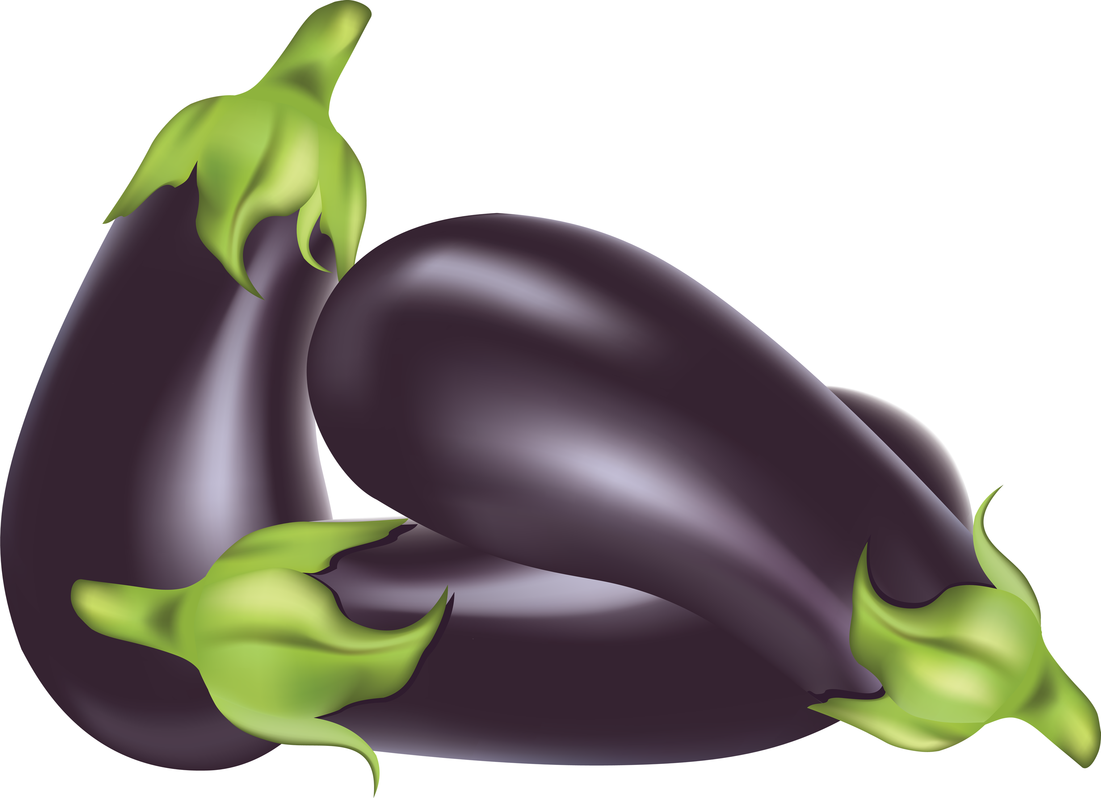 Brinjal Eggplant Bunch Transparent PNG Image
