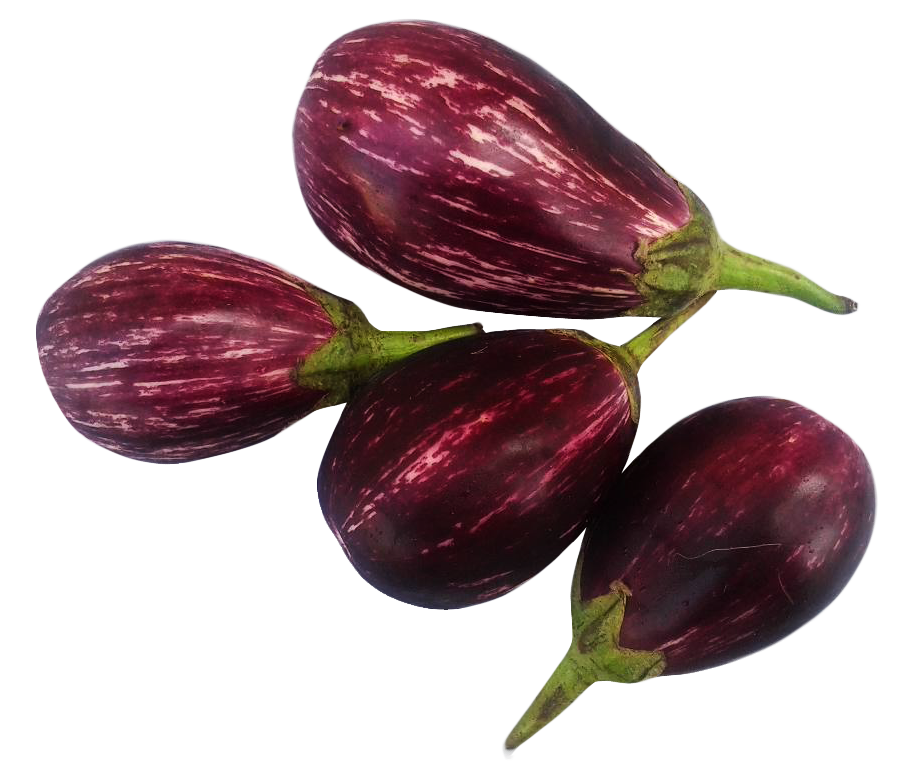 Brinjal Bunch Transparent PNG Image
