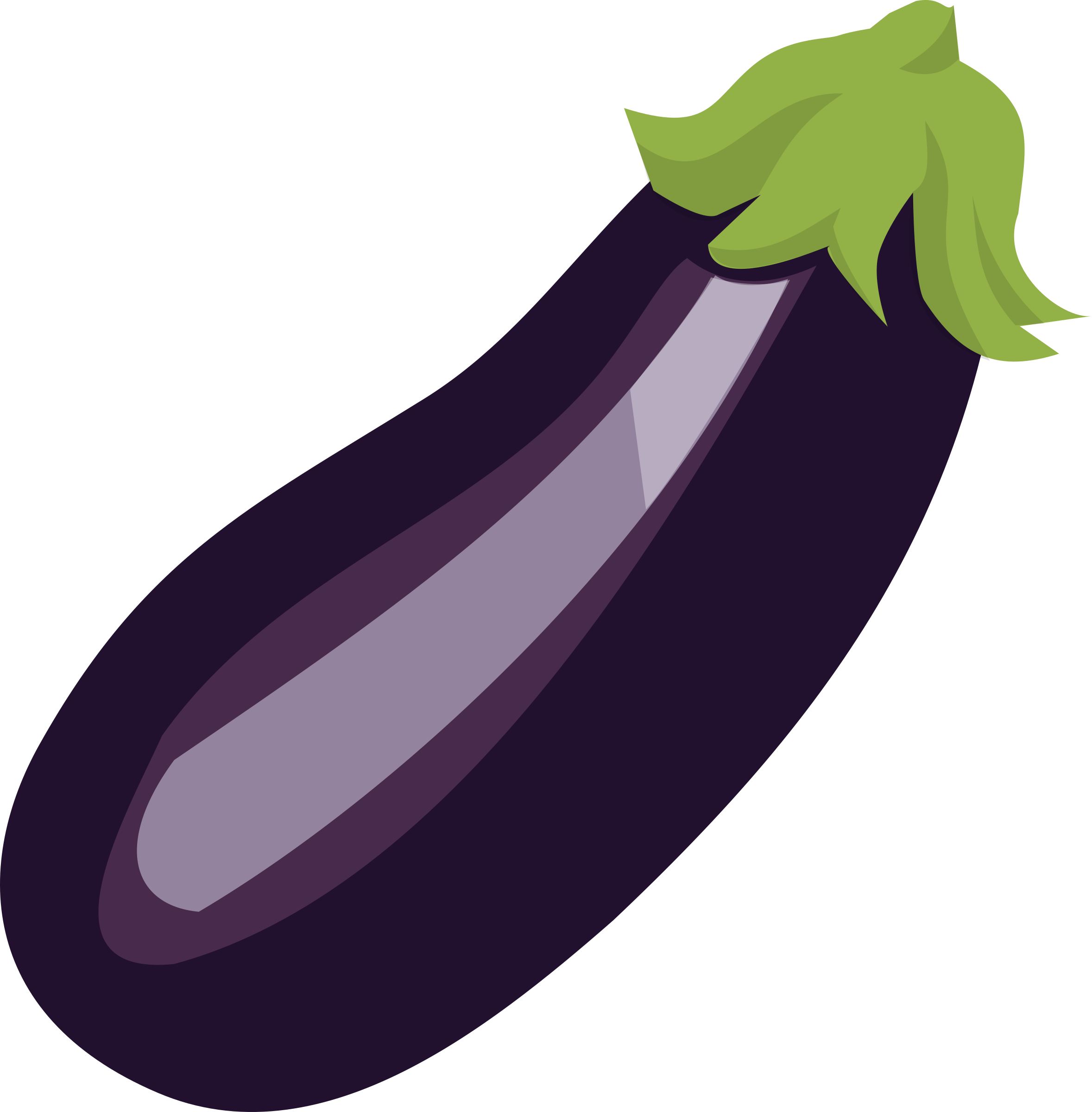 Single Brinjal Eggplant File Transparent PNG Image