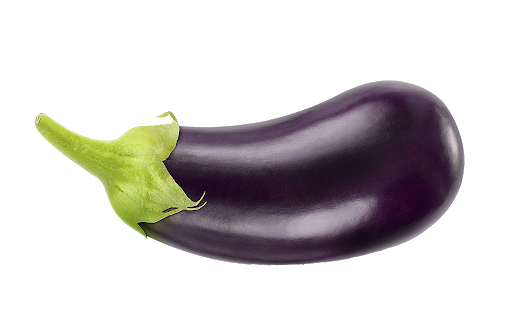 Single Brinjal Eggplant Transparent PNG Image