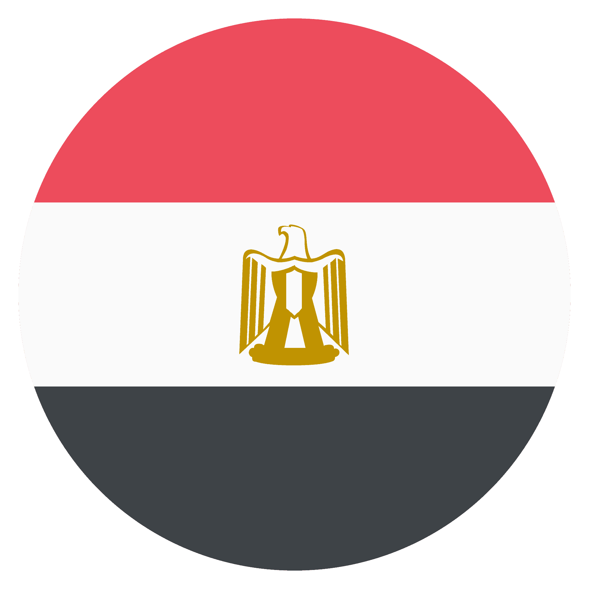 Egypt Flag Transparent PNG Image