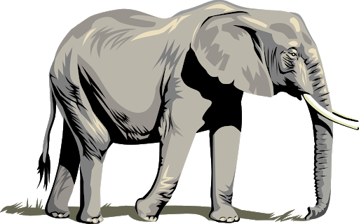 Vector Elephant African Transparent PNG Image