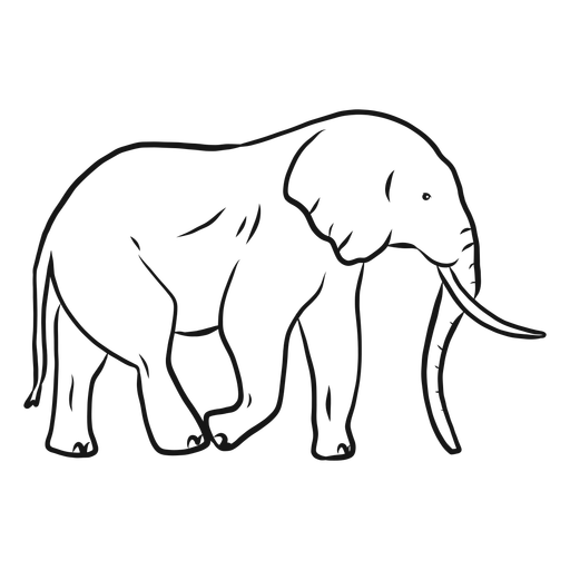Vector Elephant Transparent PNG Image