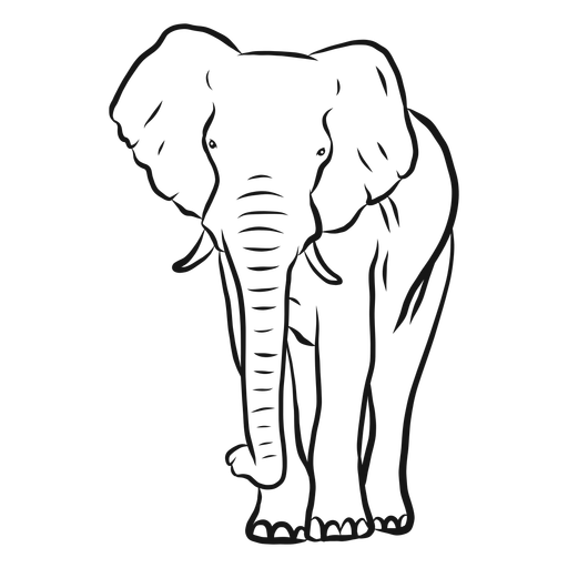 Vector Elephant Transparent PNG Image