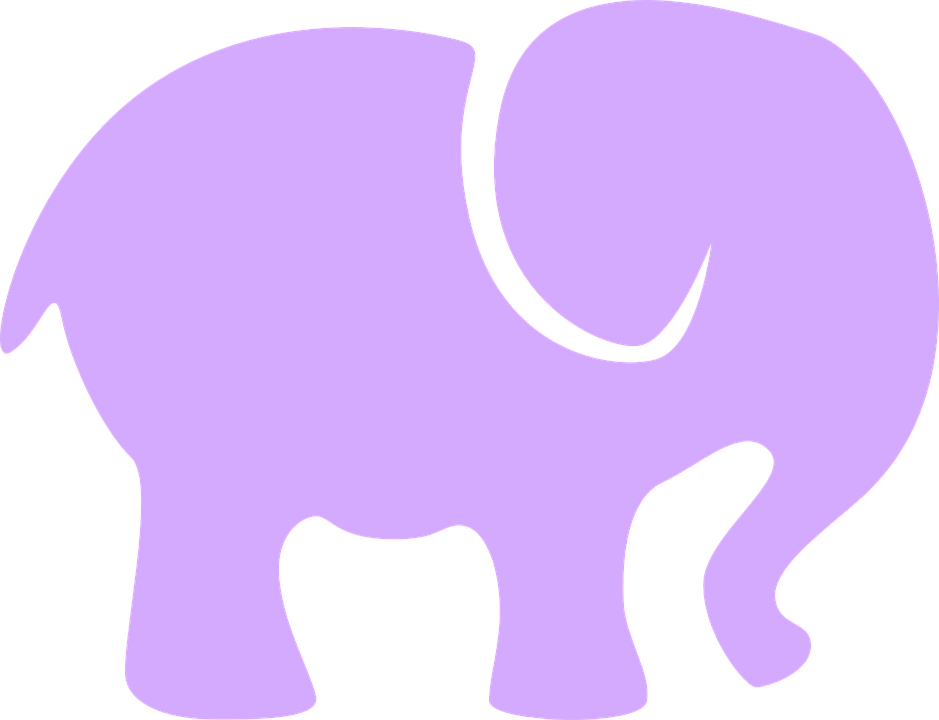 Vector Elephant Transparent PNG Image