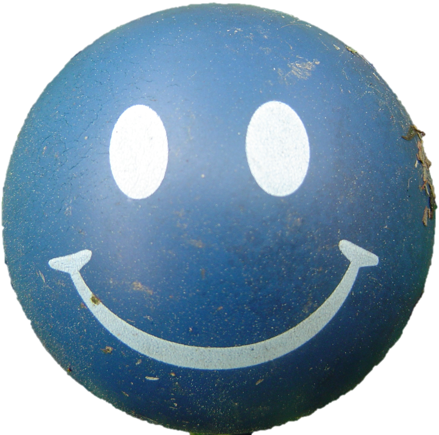 Face Happy Transparent PNG Image