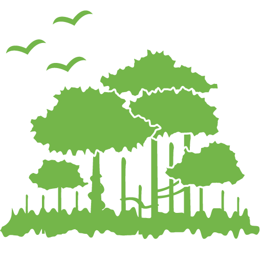 Environment Transparent PNG Image
