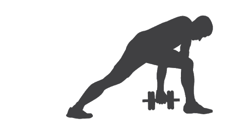 Vector Exercise Transparent PNG Image