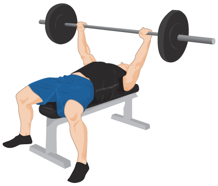 Exercise Bench Transparent PNG Image