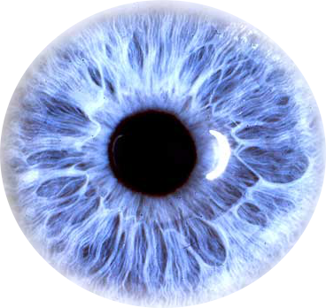 Eyes 9 Transparent PNG Image
