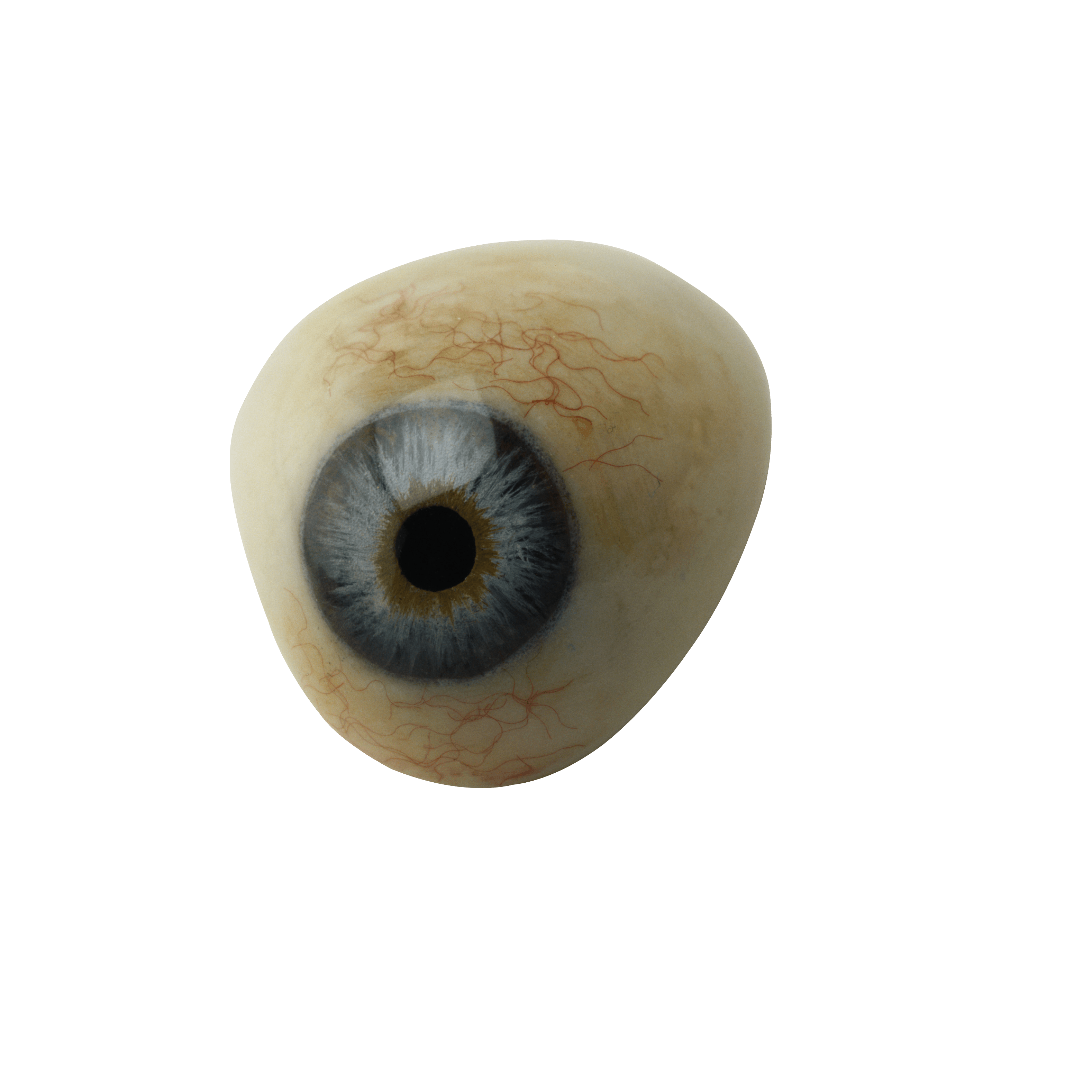 Eye Transparent PNG Image